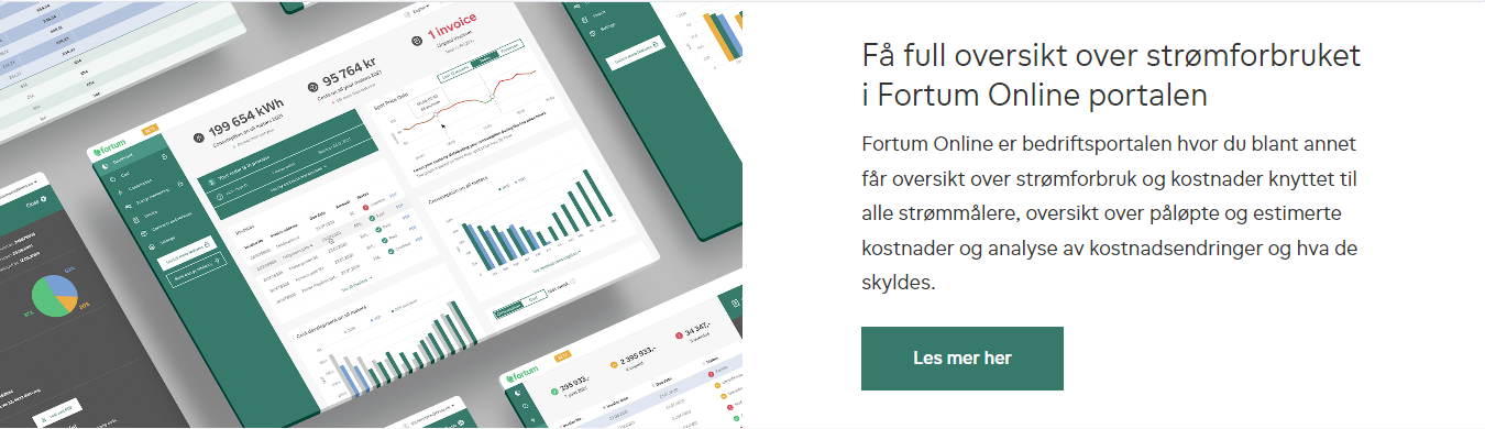 Fortum online portal_ads