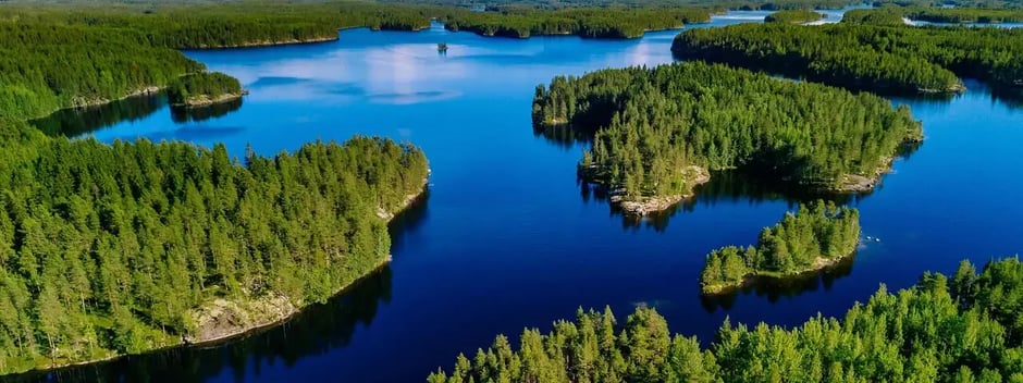 Skog og vann illustrasjonsfoto